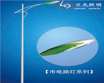 陜西6米市電路燈