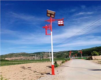 陜西延安甘泉新農村太陽能路燈項目